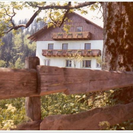 Ferienwohnung Haus Einhirn Altaussee Dış mekan fotoğraf