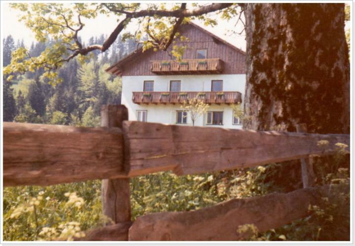 Ferienwohnung Haus Einhirn Altaussee Dış mekan fotoğraf