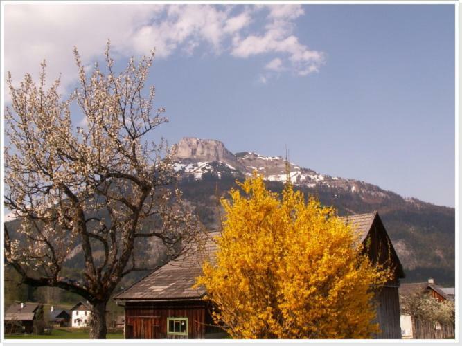 Ferienwohnung Haus Einhirn Altaussee Dış mekan fotoğraf