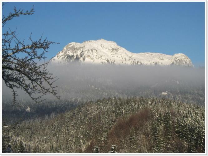 Ferienwohnung Haus Einhirn Altaussee Dış mekan fotoğraf