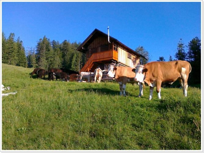 Ferienwohnung Haus Einhirn Altaussee Dış mekan fotoğraf